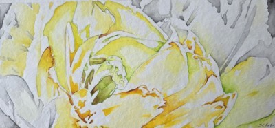 Aquarellbild von Tulpenblüten in kontrastreichen Gelb- Grün- und Grautönen